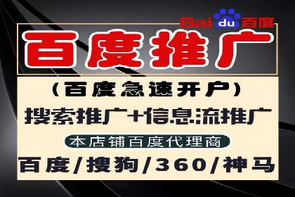 实战经验：竞价推广公司成功案例解析